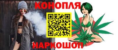 крисы Обь