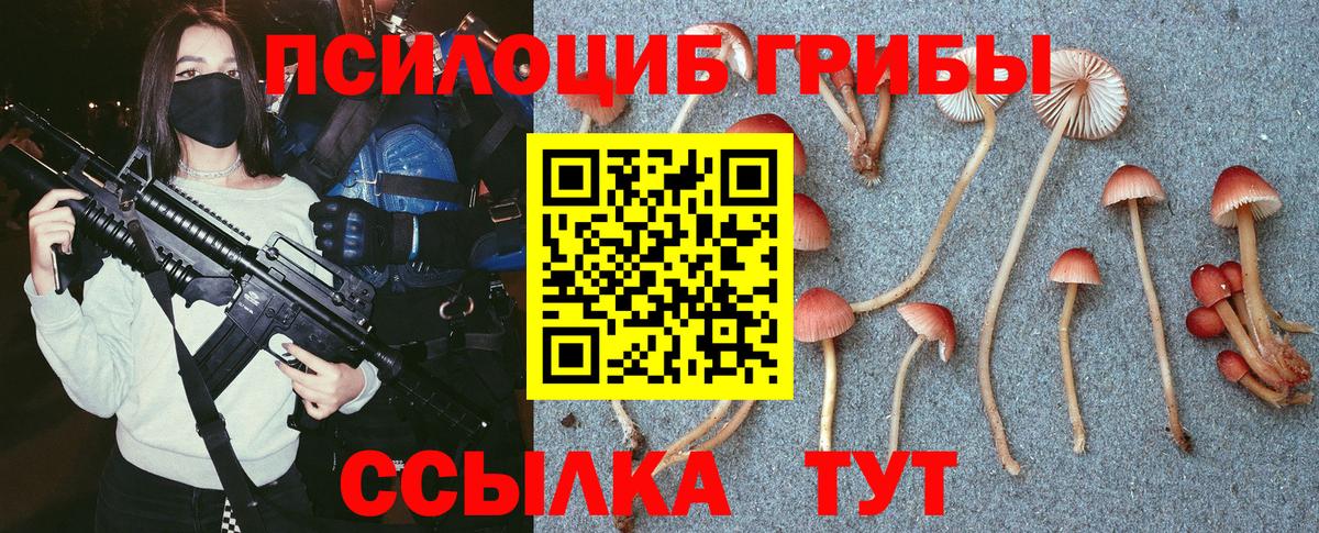 Галлюциногенные грибы прущие грибы Ярцево