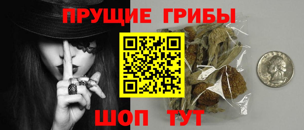 Галлюциногенные грибы прущие грибы  Галлюциногенные грибы ЛСД  Вход с VPN  Ярцево 