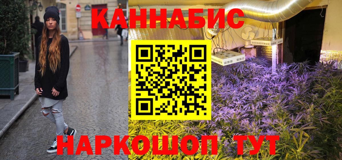 Бошки Шишки White Widow  Бошки Шишки план  Вход с VPN  Шишки марихуана семена  Каннабис LSD WEED  Ярцево 